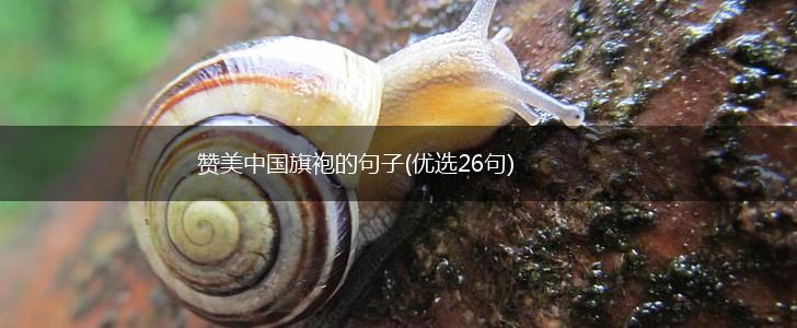 赞美中国旗袍的句子(优选26句),第1张