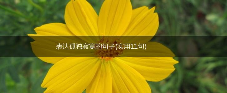 表达孤独寂寞的句子(实用11句),第1张