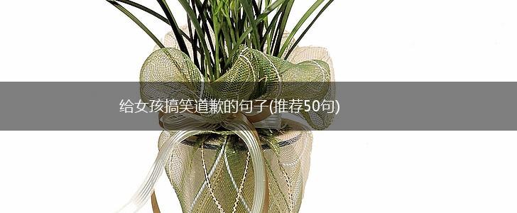 给女孩搞笑道歉的句子(推荐50句),第1张