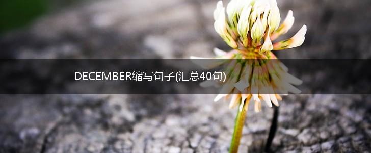 DECEMBER缩写句子(汇总40句),第1张