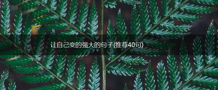 让自己变的强大的句子(推荐40句),第1张