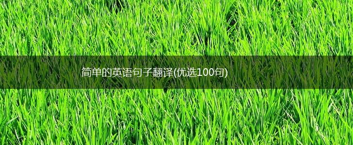 简单的英语句子翻译(优选100句),第1张