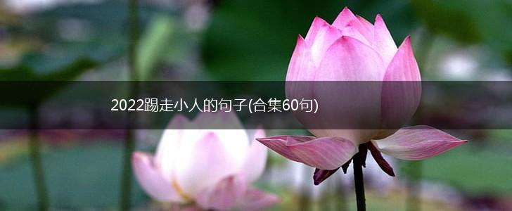 2022踢走小人的句子(合集60句),第1张