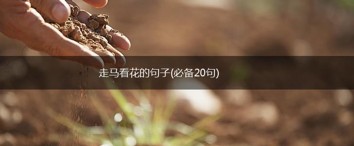 走马看花的句子(必备20句),第1张