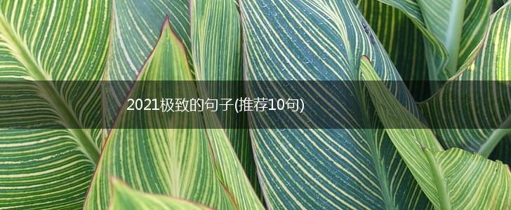 2021极致的句子(推荐10句),第1张