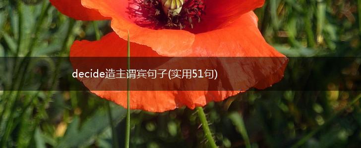 decide造主谓宾句子(实用51句),第1张