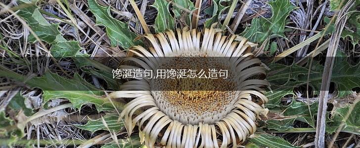馋涎造句,用馋涎怎么造句,第1张