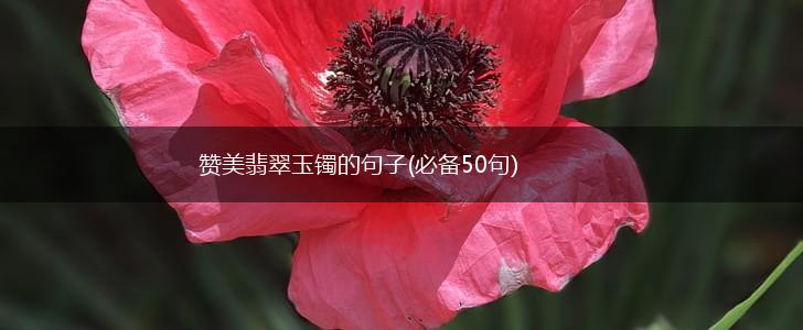 赞美翡翠玉镯的句子(必备50句),第1张