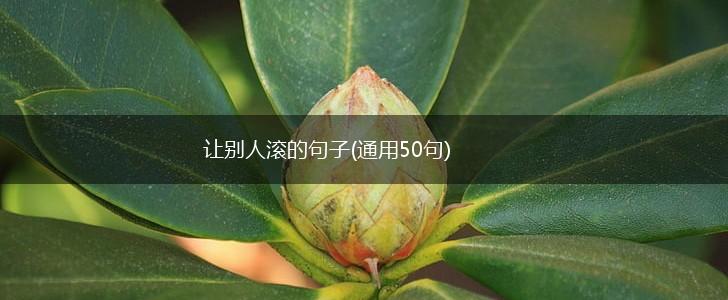 让别人滚的句子(通用50句),第1张