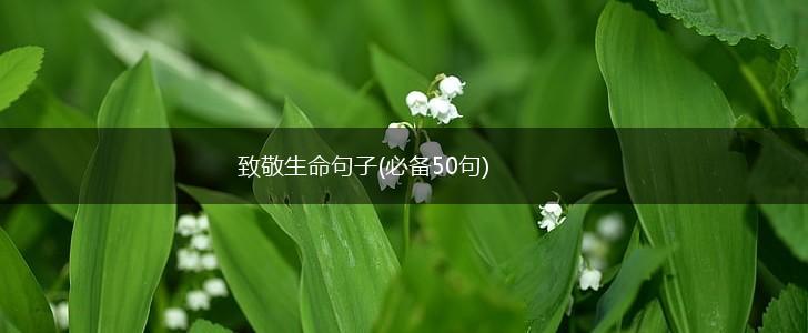 致敬生命句子(必备50句),第1张