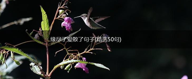 缘尽了爱散了句子(精选50句),第1张