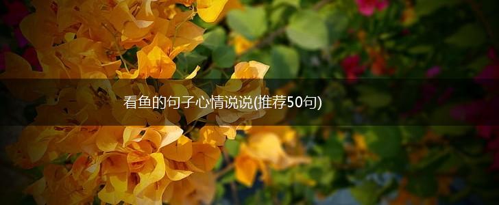 看鱼的句子心情说说(推荐50句),第1张