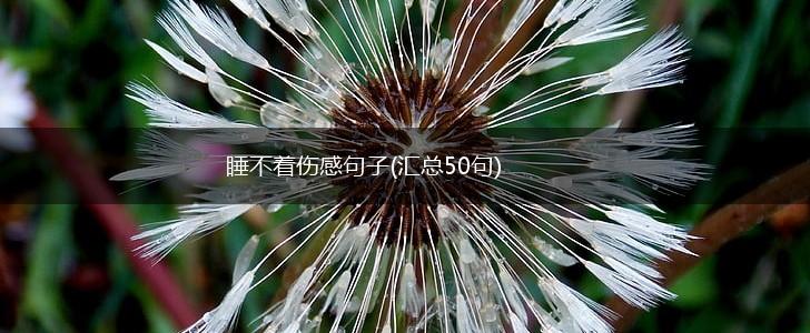 睡不着伤感句子(汇总50句),第1张