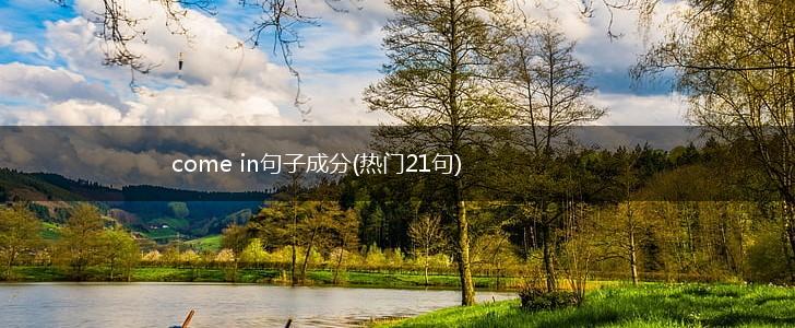come in句子成分(热门21句),第1张