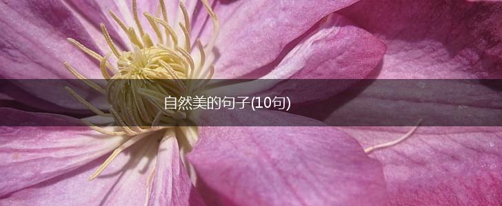 自然美的句子(10句),第1张