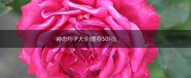 神态句子大全(推荐50句),第1张