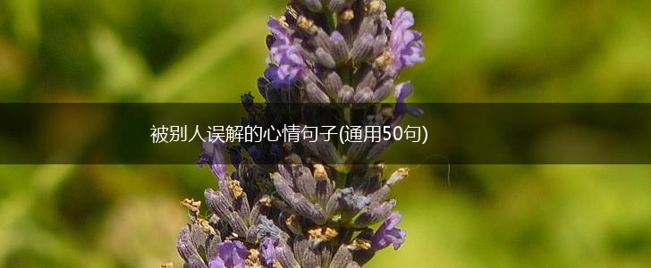 被别人误解的心情句子(通用50句),第1张