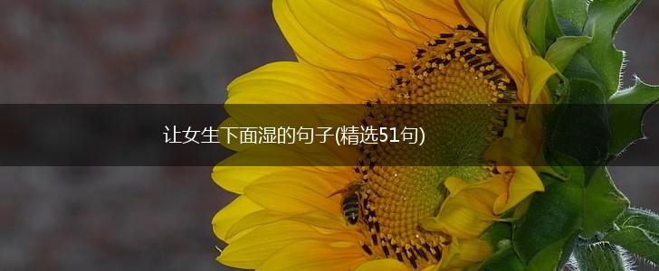 让女生下面湿的句子(精选51句),第1张