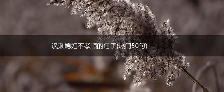 讽刺媳妇不孝顺的句子(热门50句),第1张