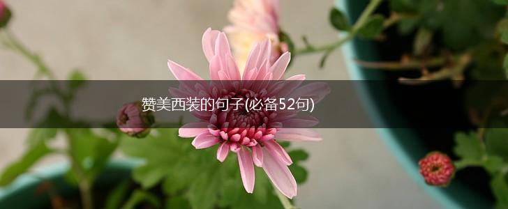 赞美西装的句子(必备52句),第1张