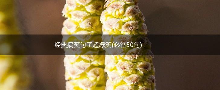 经典搞笑句子超爆笑(必备50句),第1张