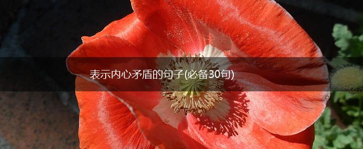 表示内心矛盾的句子(必备30句),第1张