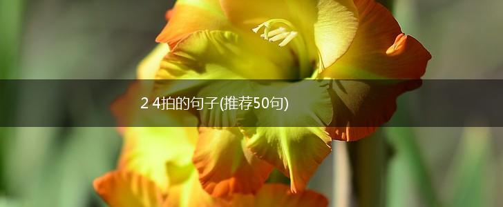2 4拍的句子(推荐50句),第1张