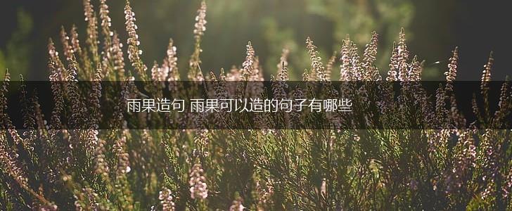 雨果造句 雨果可以造的句子有哪些,第1张