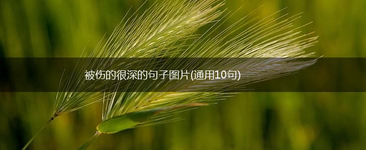 被伤的很深的句子图片(通用10句),第1张