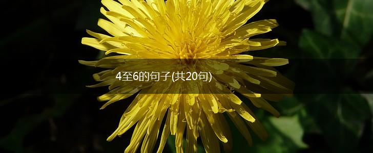 4至6的句子(共20句),第1张