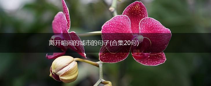 离开喧闹的城市的句子(合集20句),第1张