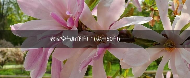 老家空气好的句子(实用50句),第1张
