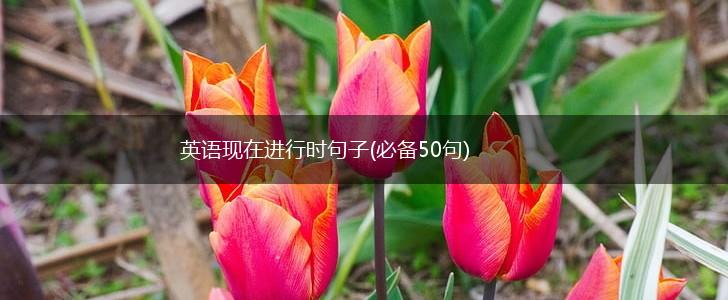 英语现在进行时句子(必备50句),第1张
