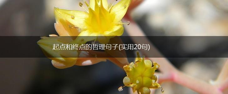 起点和终点的哲理句子(实用20句),第1张