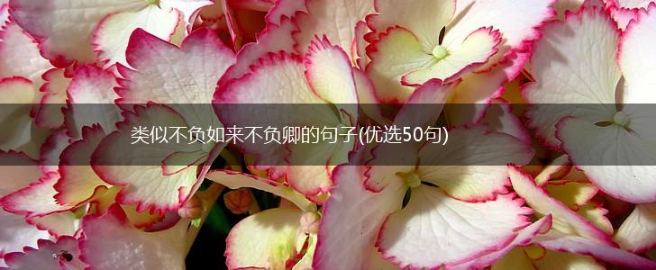 类似不负如来不负卿的句子(优选50句),第1张