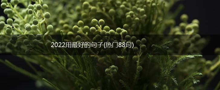 2022用最好的句子(热门88句),第1张