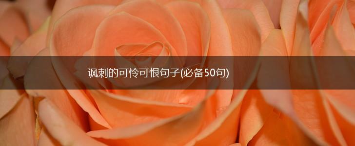 讽刺的可怜可恨句子(必备50句),第1张