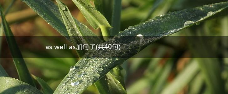as well as加句子(共40句),第1张