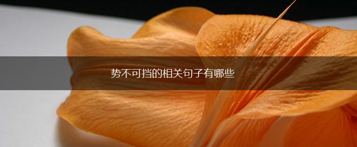势不可挡的相关句子有哪些,第1张
