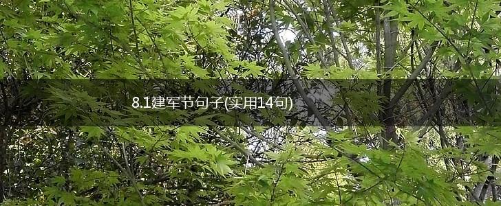 8.1建军节句子(实用14句),第1张