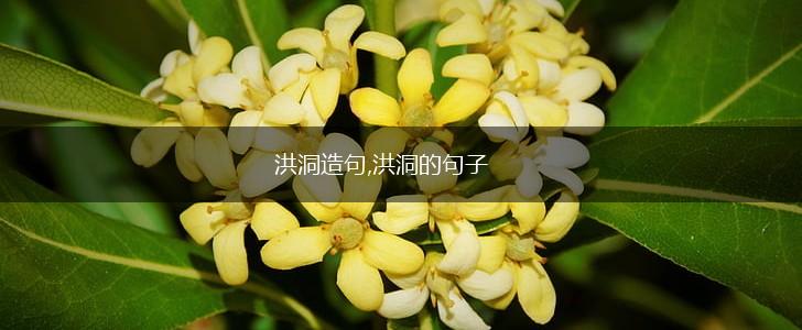 洪洞造句,洪洞的句子,第1张