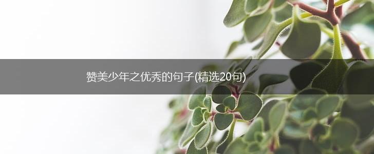 赞美少年之优秀的句子(精选20句),第1张
