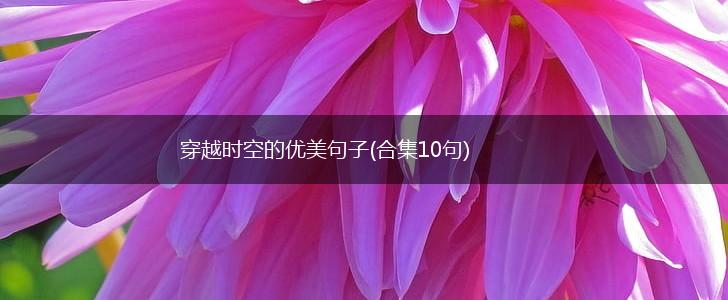 穿越时空的优美句子(合集10句),第1张