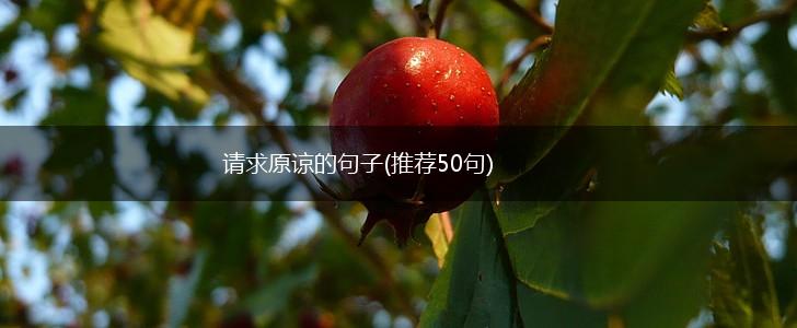 请求原谅的句子(推荐50句),第1张