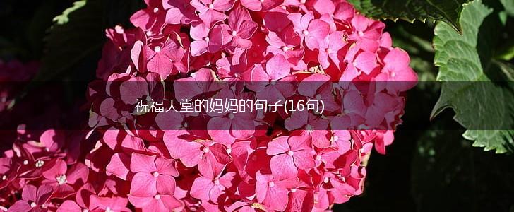 祝福天堂的妈妈的句子(16句),第1张