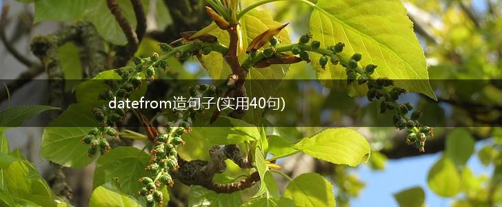 datefrom造句子(实用40句),第1张