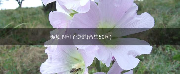 破烦的句子说说(合集50句),第1张