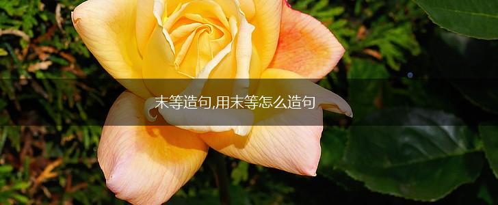 末等造句,用末等怎么造句,第1张