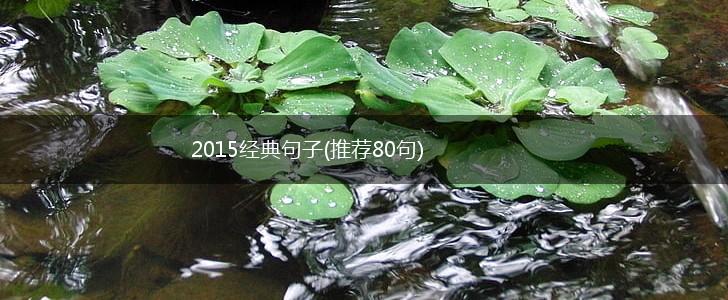 2015经典句子(推荐80句),第1张