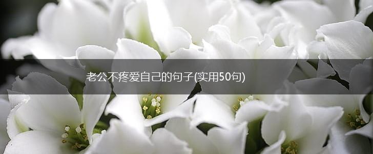 老公不疼爱自己的句子(实用50句),第1张